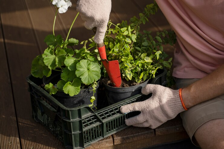 Small Space Gardening