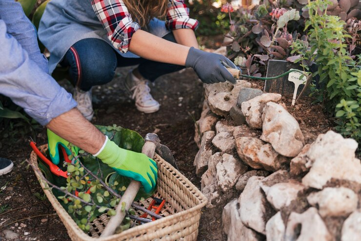 Designing a Low Maintenance Garden: Tips for an Effortless, Beautiful Landscape