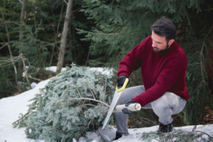 Lawn Care in Winter