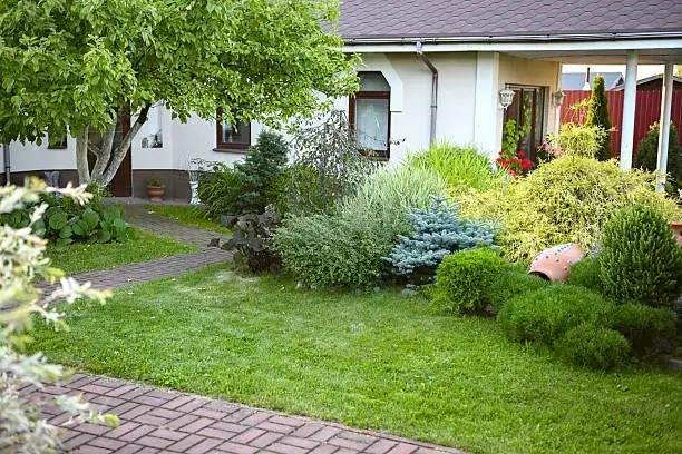 Drought Tolerant Landscaping Ideas for Low-Maintenance Yard