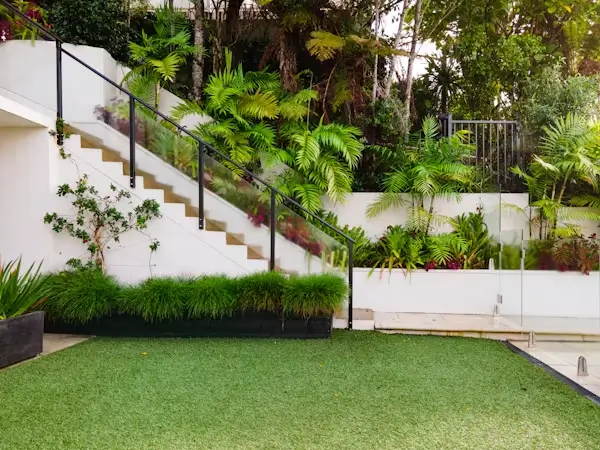 No Mow Lawn Alternatives That Still Look Great