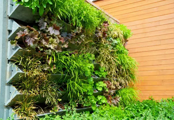 Vertical Garden Ideas for Small Yards and Apartment